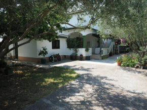Apartman Stura 1